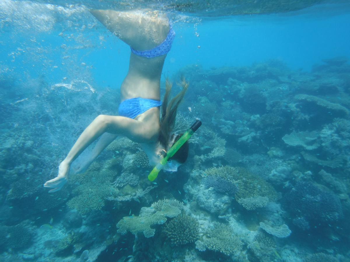 Surf Trip Maldives Hotel Thulusdhoo Buitenkant foto